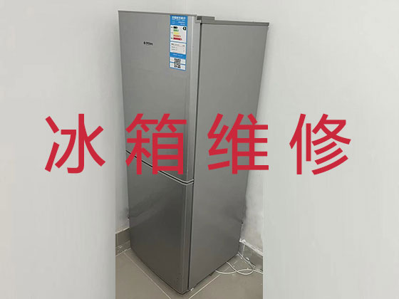 中山专业冰箱安装